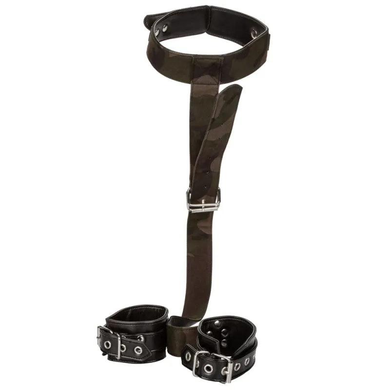 Colt Camo Collar and Cuffs