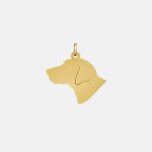 Stock Pet Charm - Medium